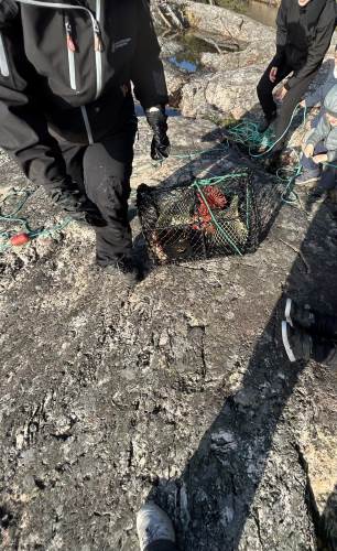 Spennende å se hva som er oppi